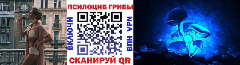 Галлюциногенные грибы ЛСД  Купить  Сусуман 