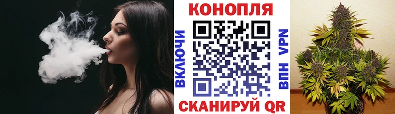 Бошки марихуана семена  Купить  Сусуман 