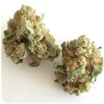 Шишки "White Widow"  (Белая вдова)  Гидропоника -  Бошка VHQ в Сусумане
