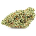 Шишки OG Kush  (Гидропоника, бошки) VHQ в Сусумане